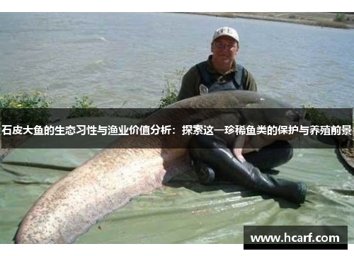 石皮大鱼的生态习性与渔业价值分析：探索这一珍稀鱼类的保护与养殖前景